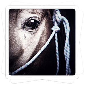 Aviary Effects: Saga Pro apk Download