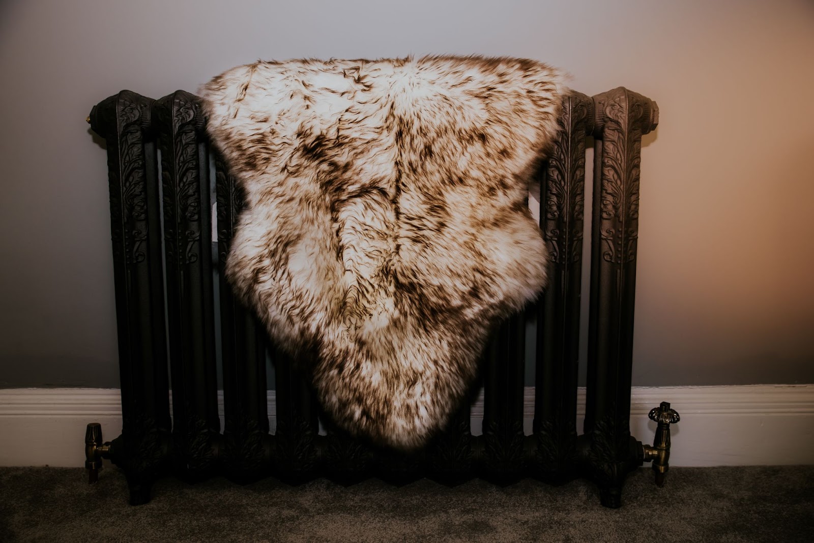 Wolf tip sheepskin rug on top of an old iron radiator