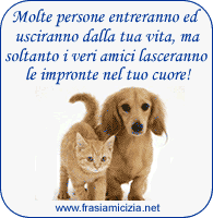 frasi-amicizia.gif