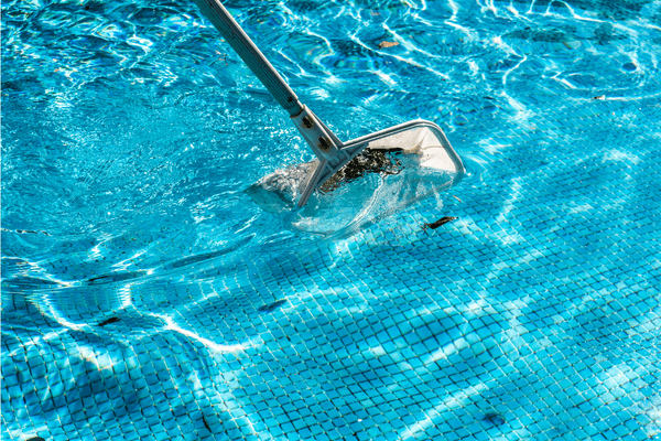 Swimming pool cleaning net scooping up debris from the pool