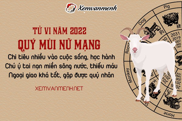 tu-vi-tuoi-quy-mui-nam-2022-nu-mang-2003