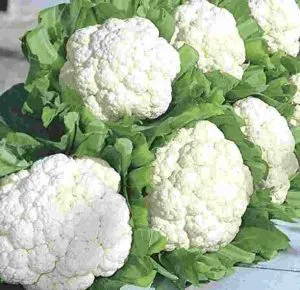 cauliflower