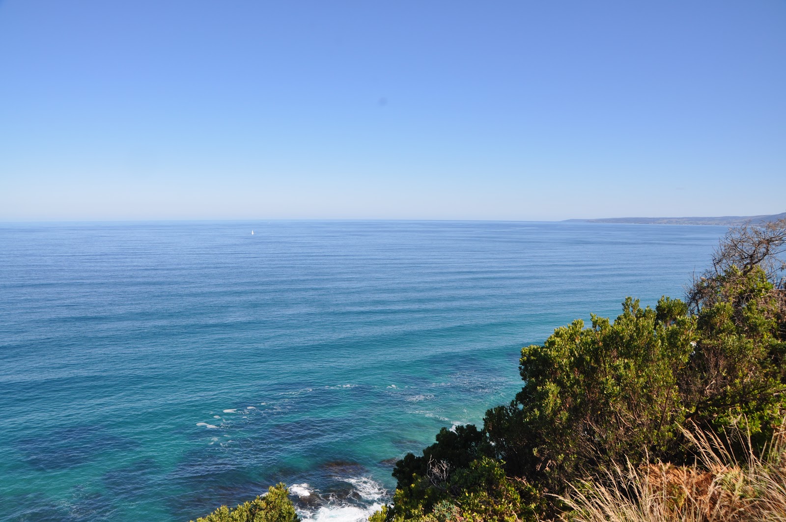 lorne crystal blue ocean view and nearby tree branches seen from viewing point above a cliff. See it from the great ocean road during our australia road trip itinerary.