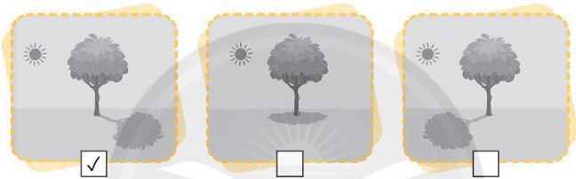 A tree and sun on a white background

Description automatically generated
