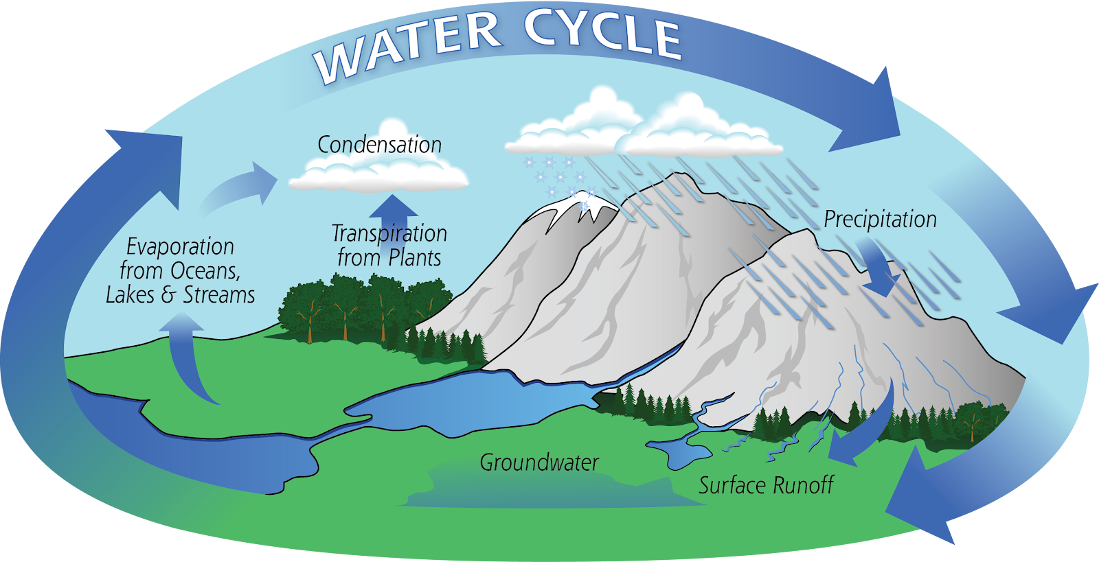 Image result for water cycle images