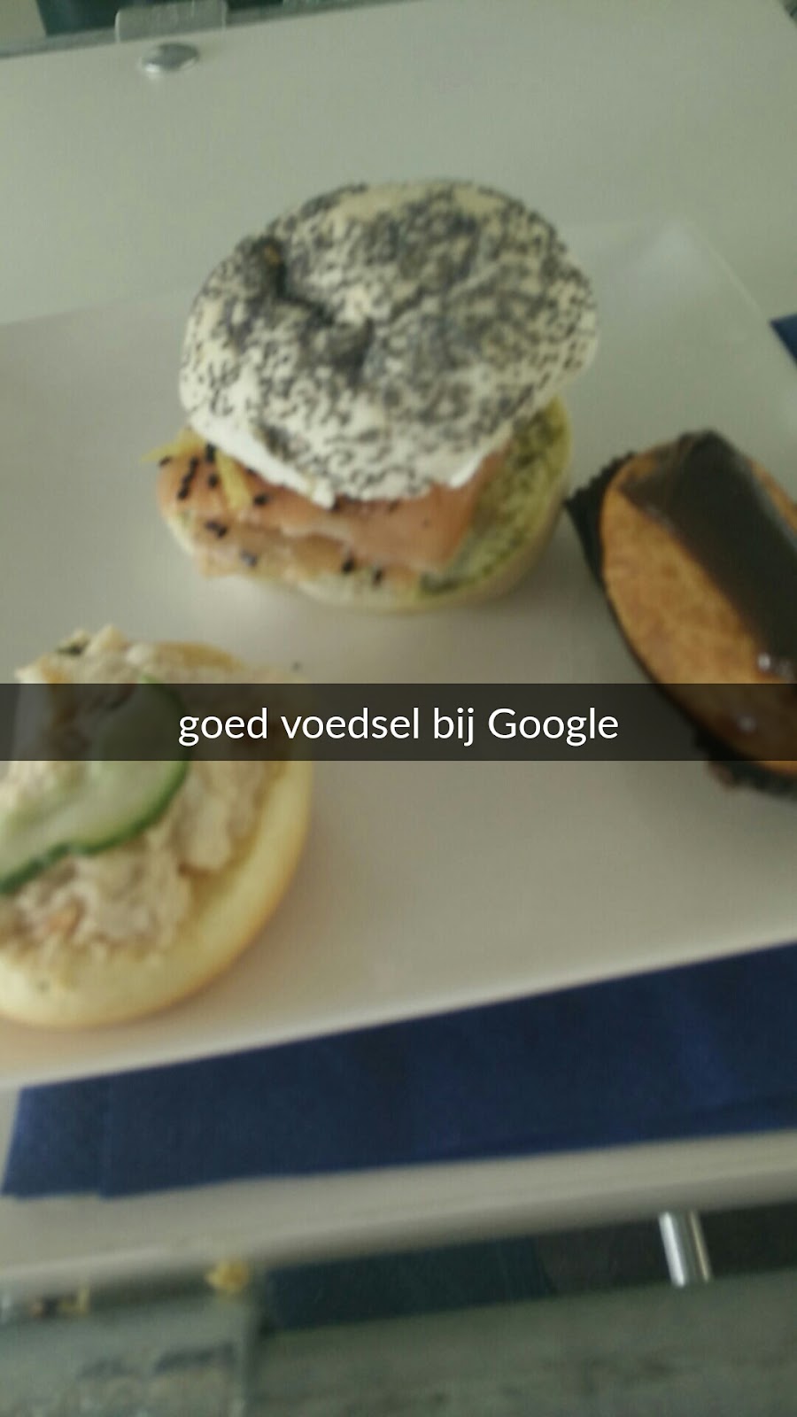 googlevoedsel.jpg