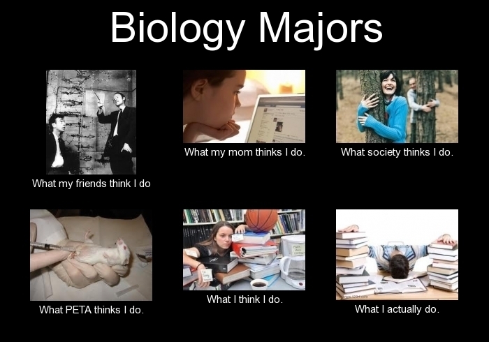 Biology Major Stereotypes