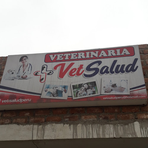 Veterinaria VetSalud - Veterinario