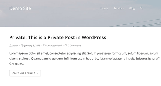 Visualização de postagem privada no WordPress