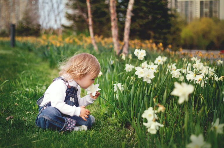 a child sniffing a white flower while sitting on sir walter buffalo grass
