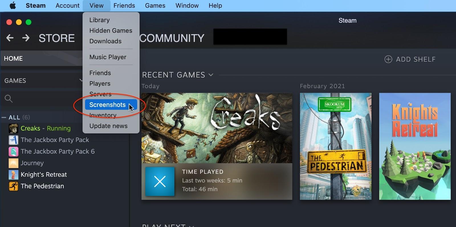 Steam's screenshot feature