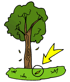 reproplanta(2).gif