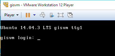 gisvm-vmware-running.png