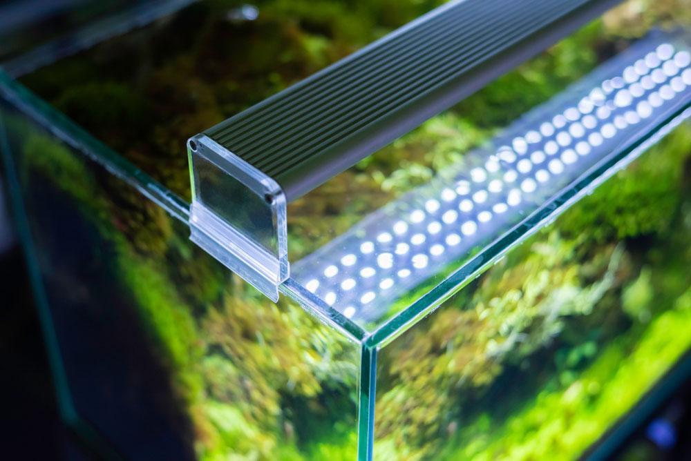 Luces de acuario LED DIY: Una guía de iluminación de acuario plantada.