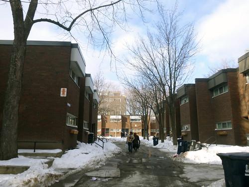 A group of people walking on a snowy street next to buildings
Description automatically generated with low confidence