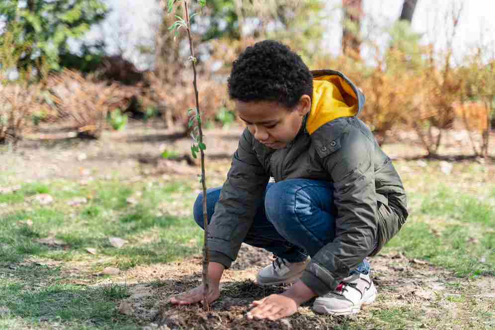 A child plants a tree to celebrate Earth Day.
Image source: Freepik licensed under CC BY-SA 2.0 