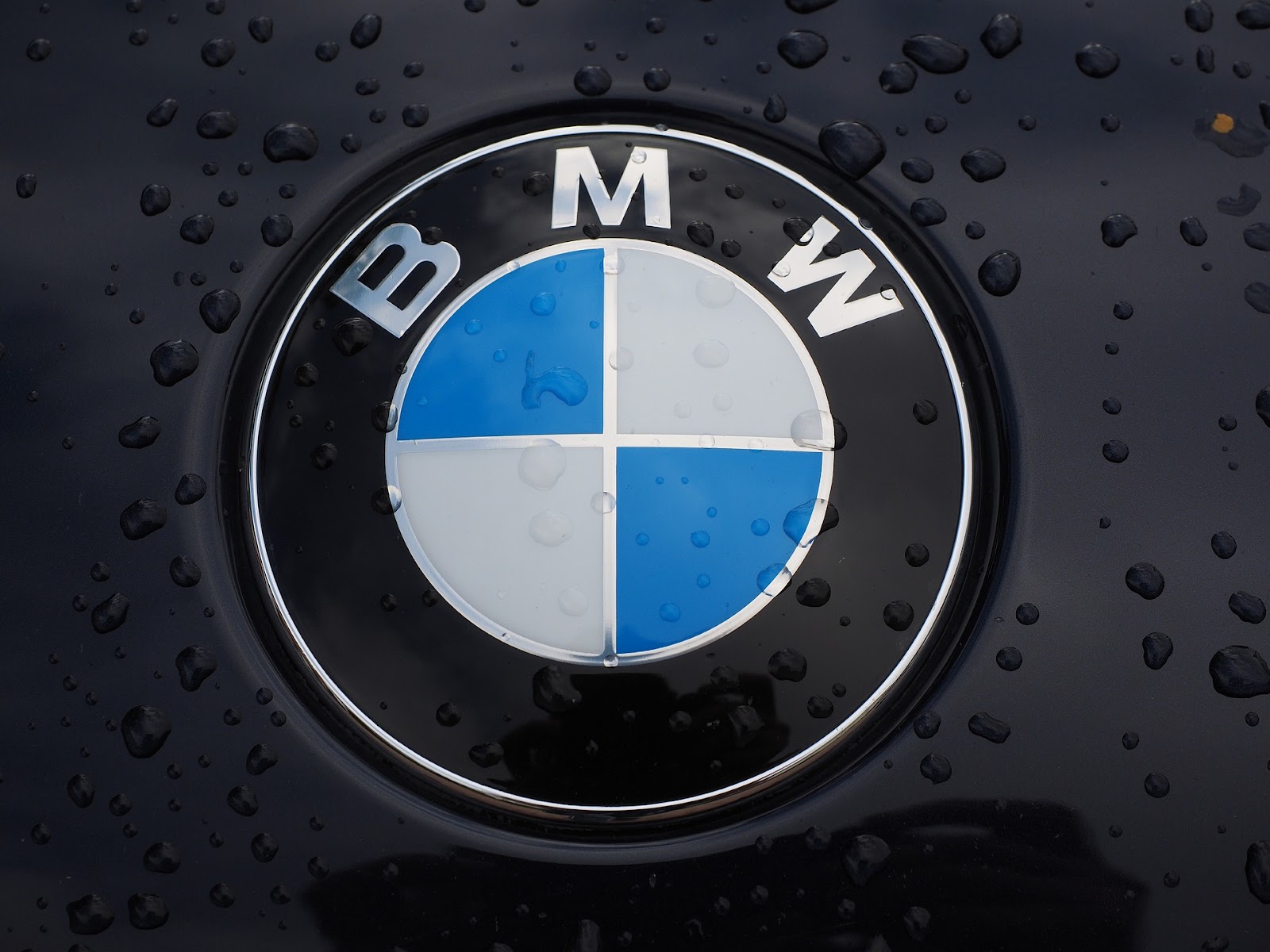 BMW logo 2000