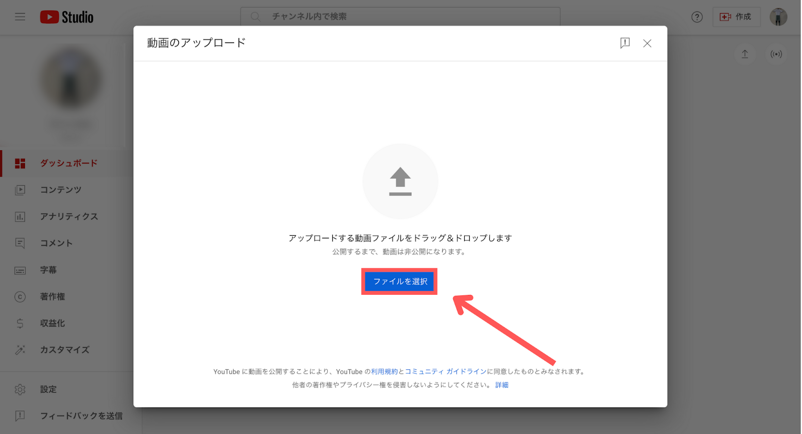 YouTube 年齢制限