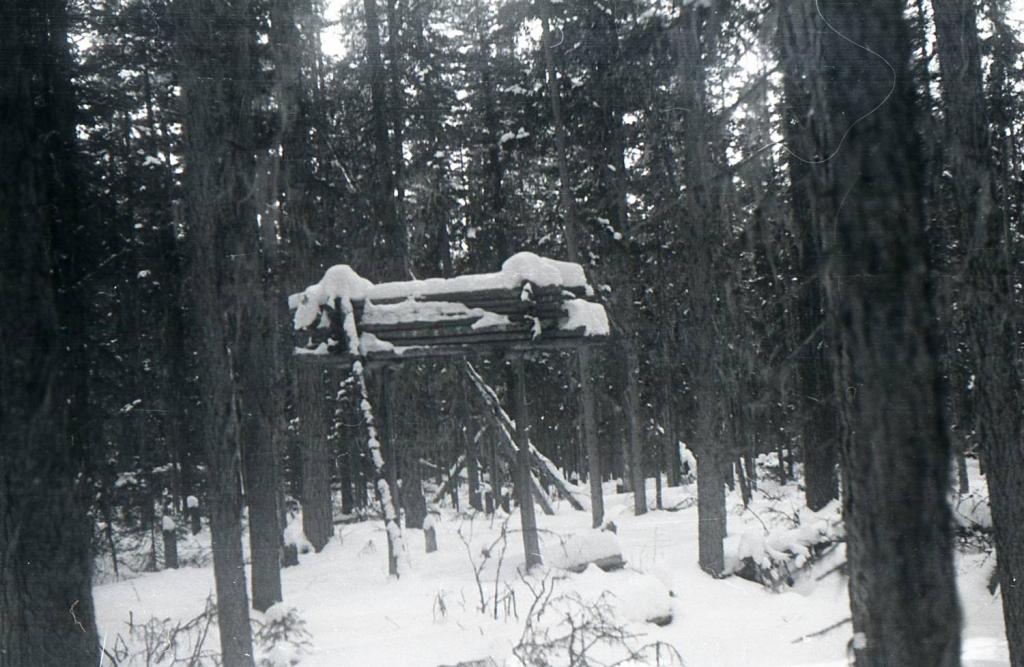 Захоронение шамана, Фото с места события из других источников