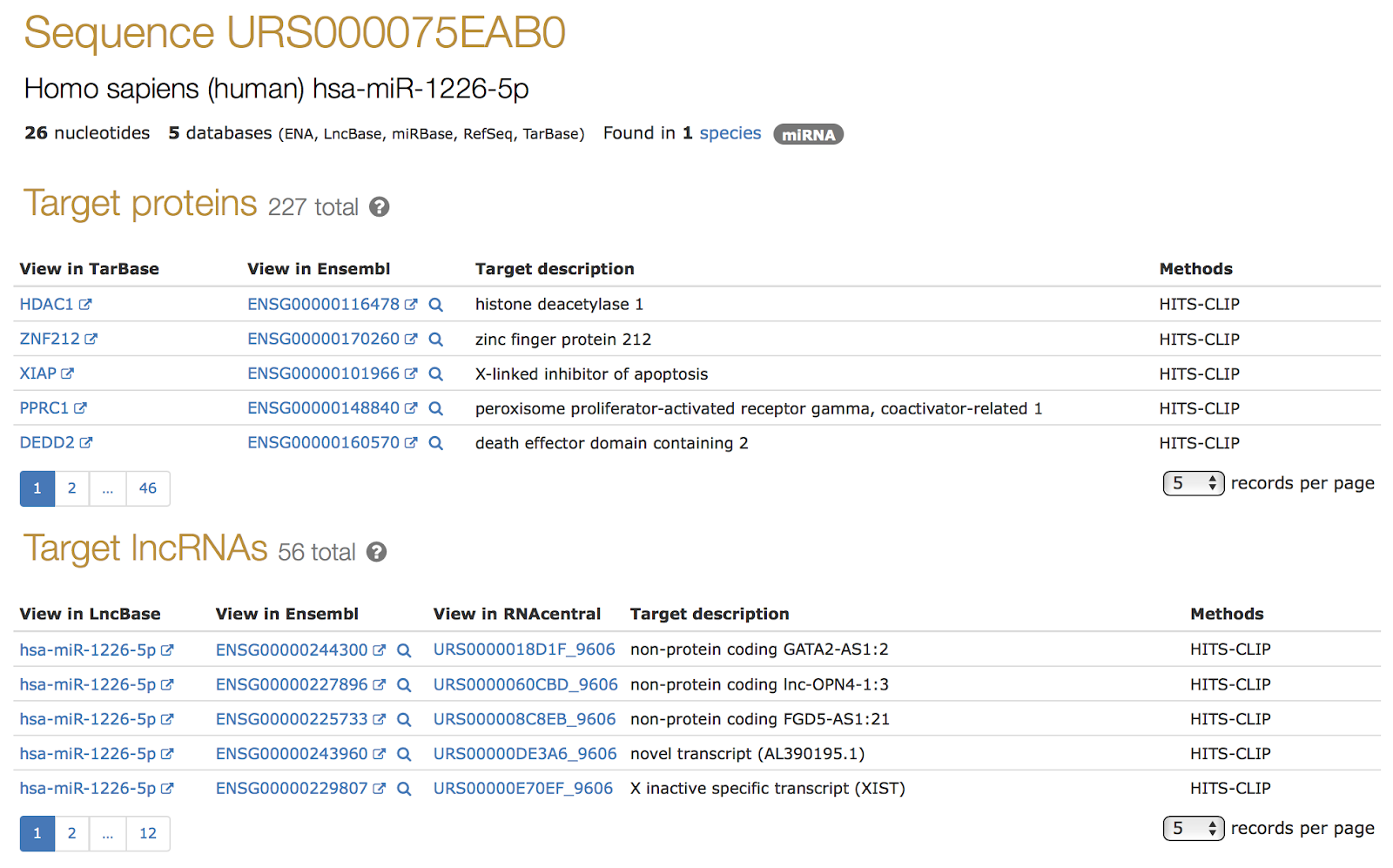 miRNAs targeting a lncRNA