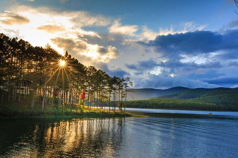 Rừng thông bên trong hồ Tuyền Lâm là điểm check-in được nhiều du khách yêu thích (Nguồn: Internet)
