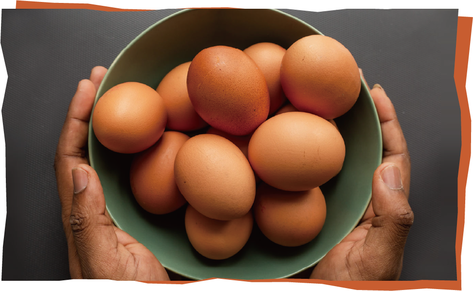 かっぱの健卵は美味しさ・鮮度が長く続く卵！