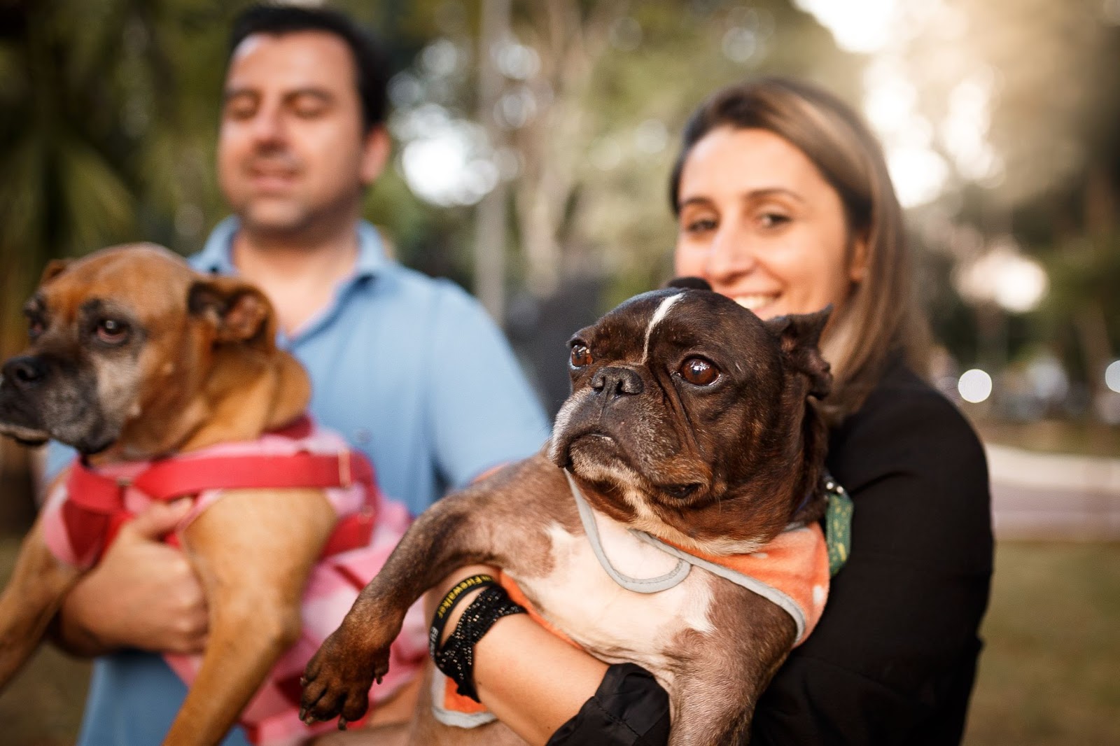 um homem e uma mulher seguram dois cachorros no colo