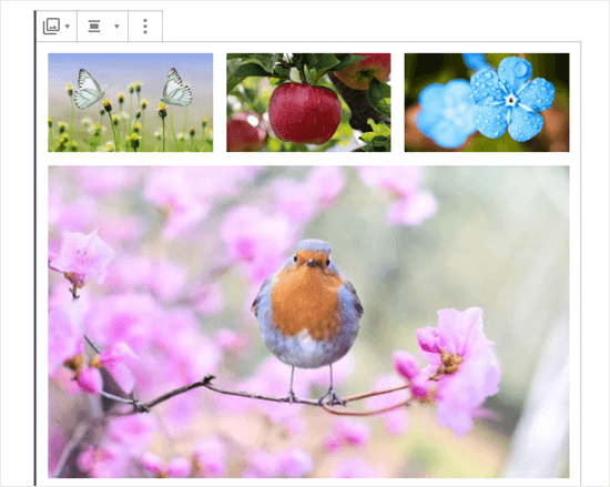Quatro imagens na galeria (borboletas, maçã, flores azuis e tordo)