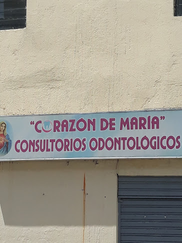 Opiniones de Corazón de María en Quito - Dentista