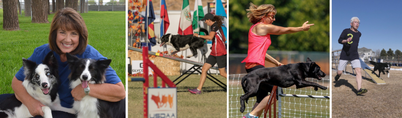 The Benefits of Dog Agility Training