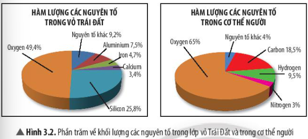 Câu hỏi trang 19 SGK TN&XH 7 CTST tập 1 