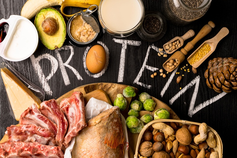 Protein có lợi trong cấu tạo khung tế bào