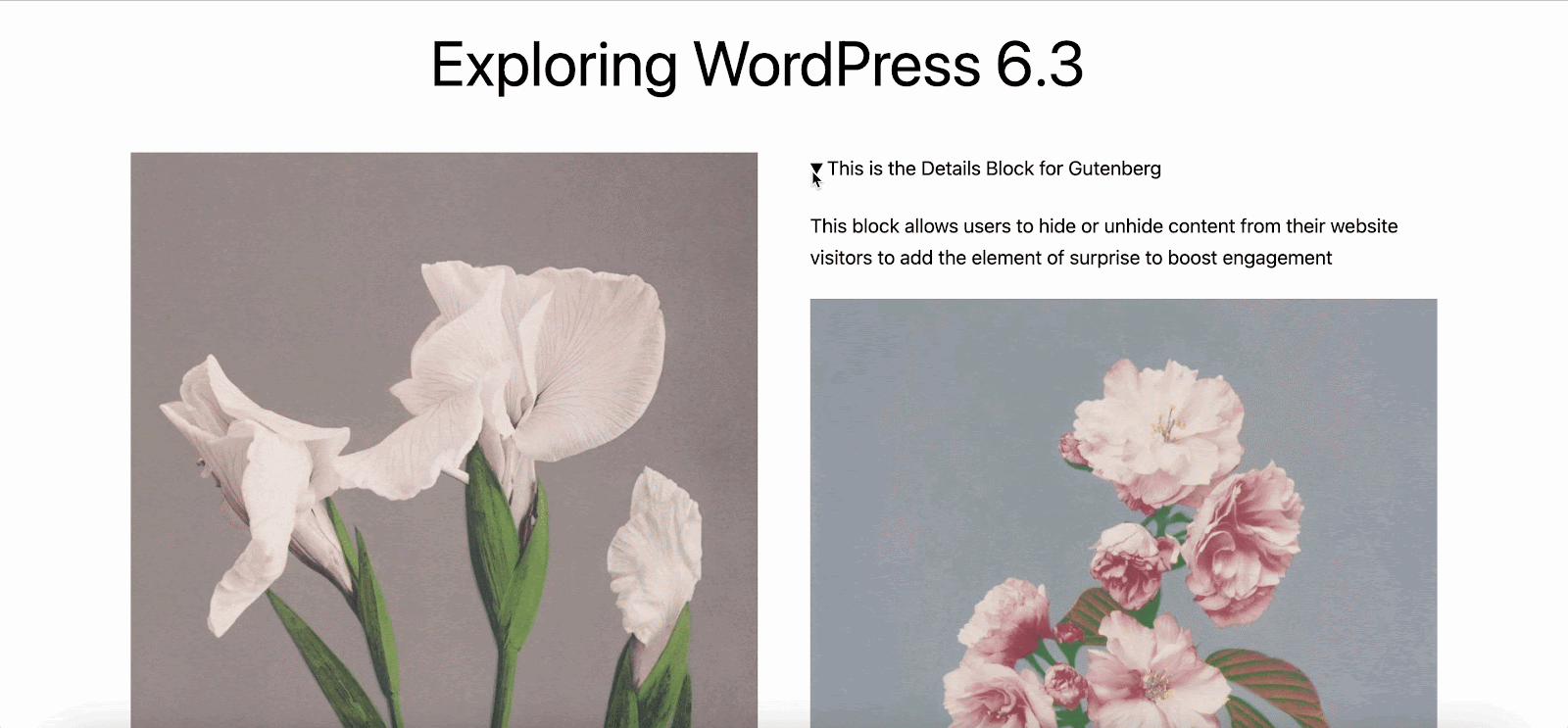 WordPress 6.3 release