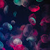 Colorful Jellyfish Wallpaper for iPhone and Android