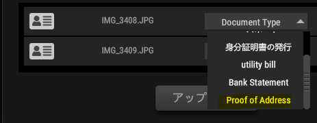 utility bill・Bank Statement・Proof of Address