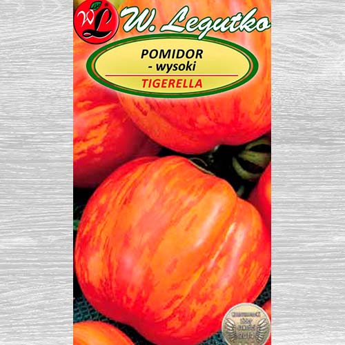 Pomidor gruntowy wysoki Tigerella obraz 1