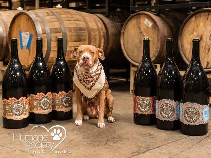 A dog sitting next to a group of beer bottles Description automatically generated with low confidence