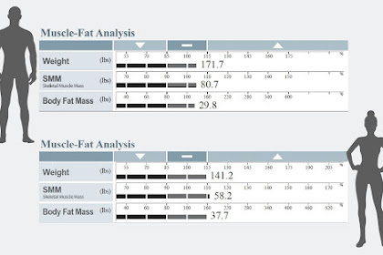 fat free body weight average
