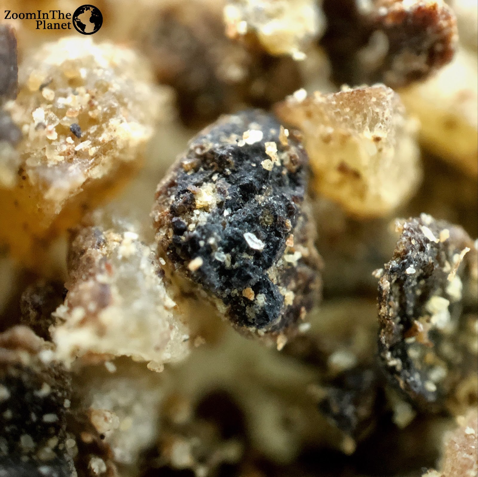 BLACK PEPPER
