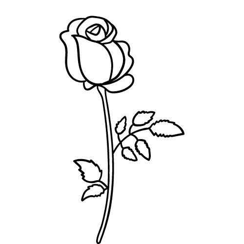 Easy Rose Drawing Outline Ideas