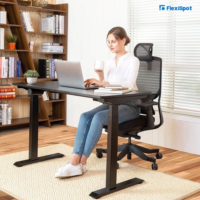 Office Chair and Seat