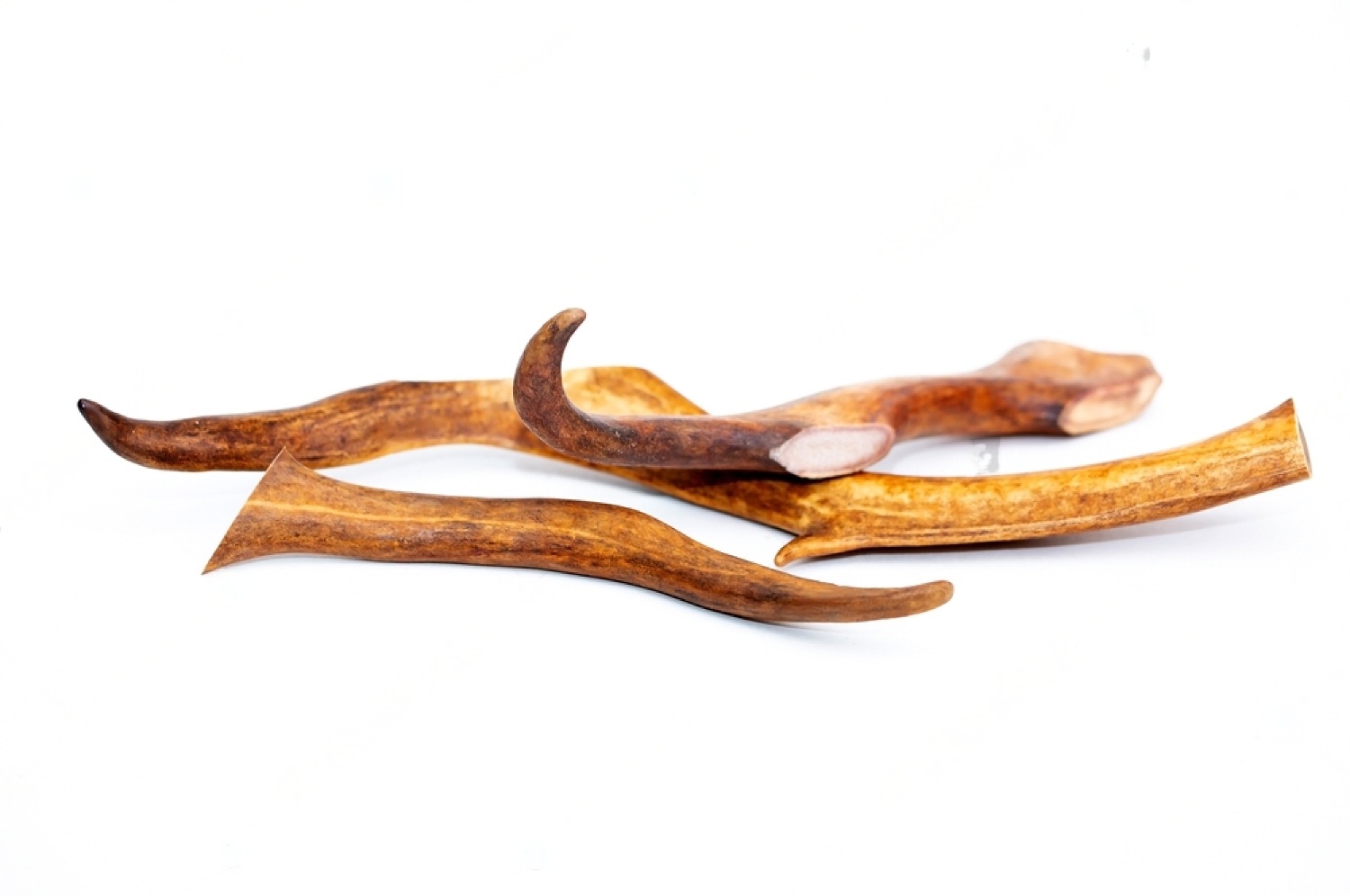Deer Antlers for Dogs: All You Need To Know 6 ON7ztgo89JNCPwlBLPMBDKF0b1oyELYubT y1JCc mipyOPou9JVq3ZQ8chEP7j3AsYGuJDRKLU3tls2uH AqrelLjj6HPzmGdUIaJHNeQsElHJTftiIASGCTwcJJcLviJ3dyz6Jx3NwPT0Mr F Izk