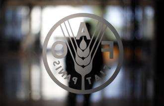 World food prices fall to near 5-year low in April: FAO: The FAO lowered its forecast for world cereal production in 2015-16 to 2.509 billion tonnes, below the March forecast of 2.548 billion tonnes. Photo: Reuters