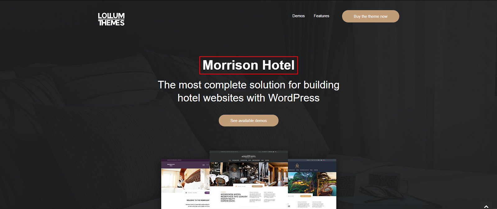 Morrison Hotel - Booking WordPress Theme