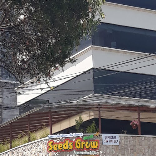 Opiniones de Seeds Grow en Quito - Guardería