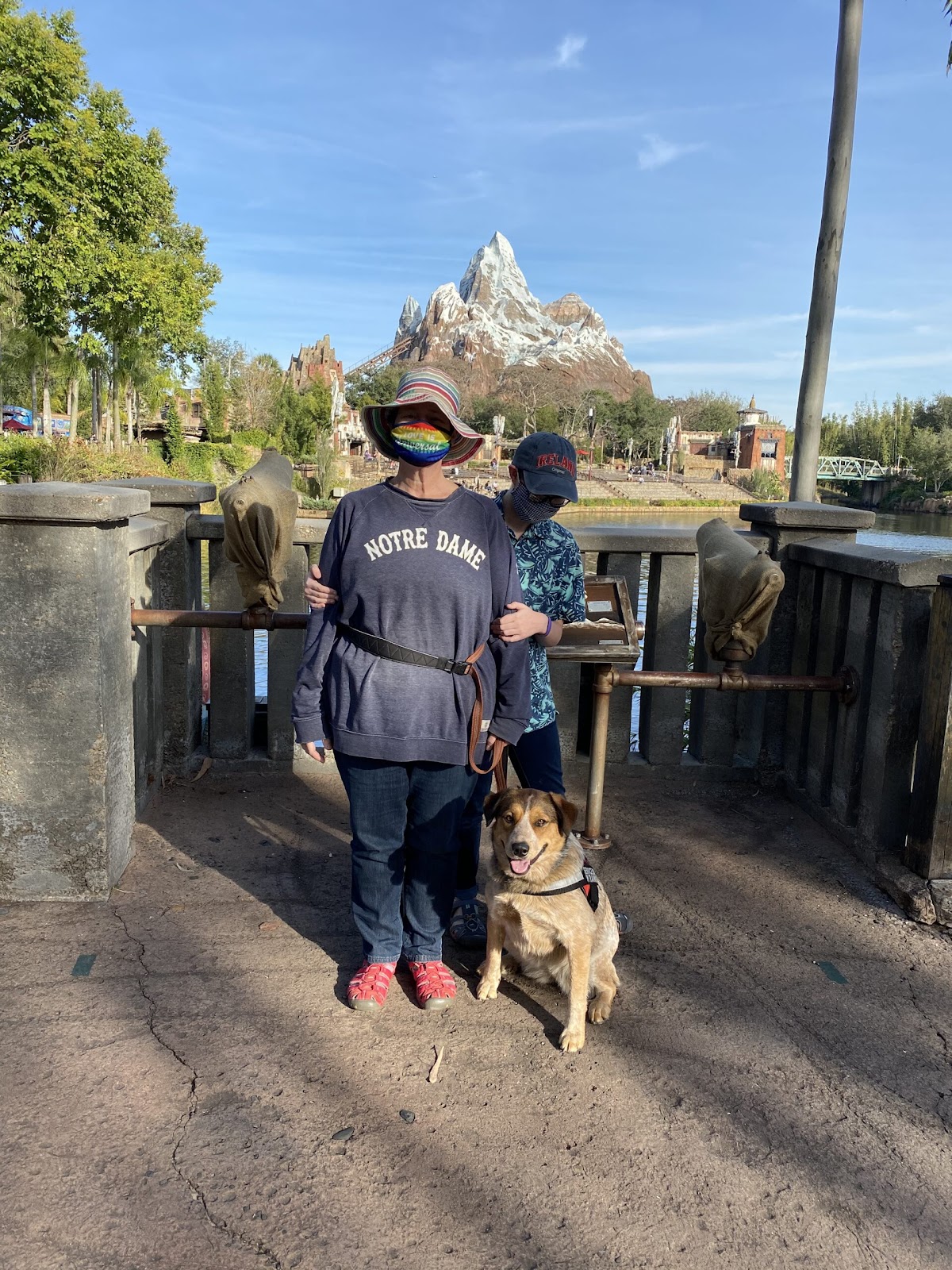 Animal Kingdom Expedition Everest