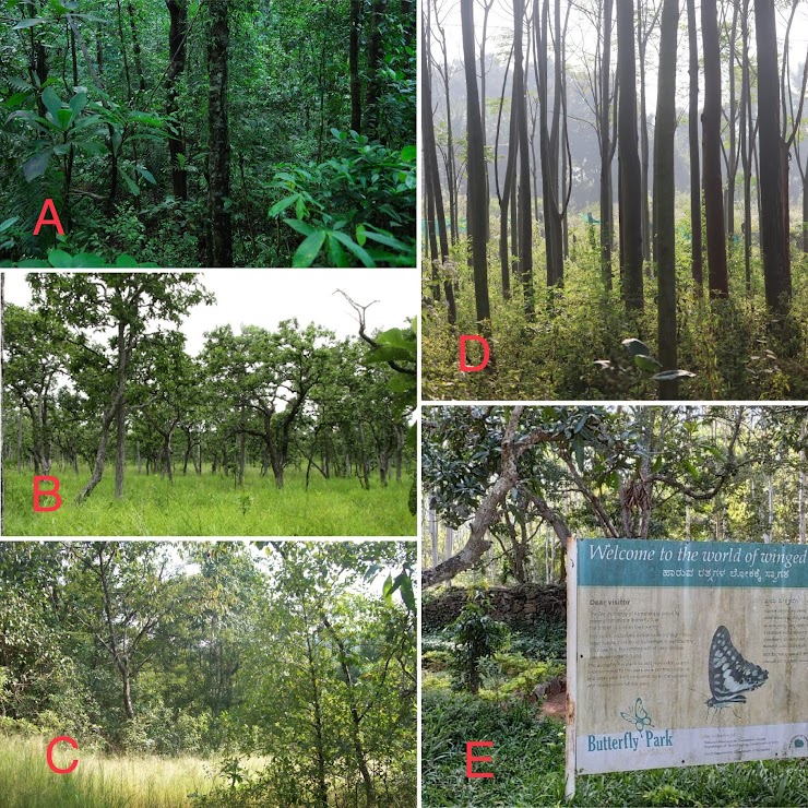 A: Moist deciduous forest              B: Dry deciduous forest             C: Open scrub/grassland                                
D:Tree plantation                             E: Modified landscape/facility