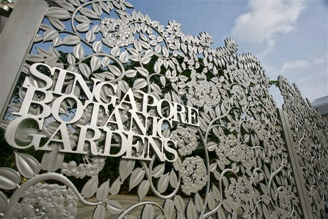 Hành trình Singapore bụi: Tung tăng  vịnh Marina và 2 khu vườn
