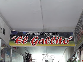 El Gallito