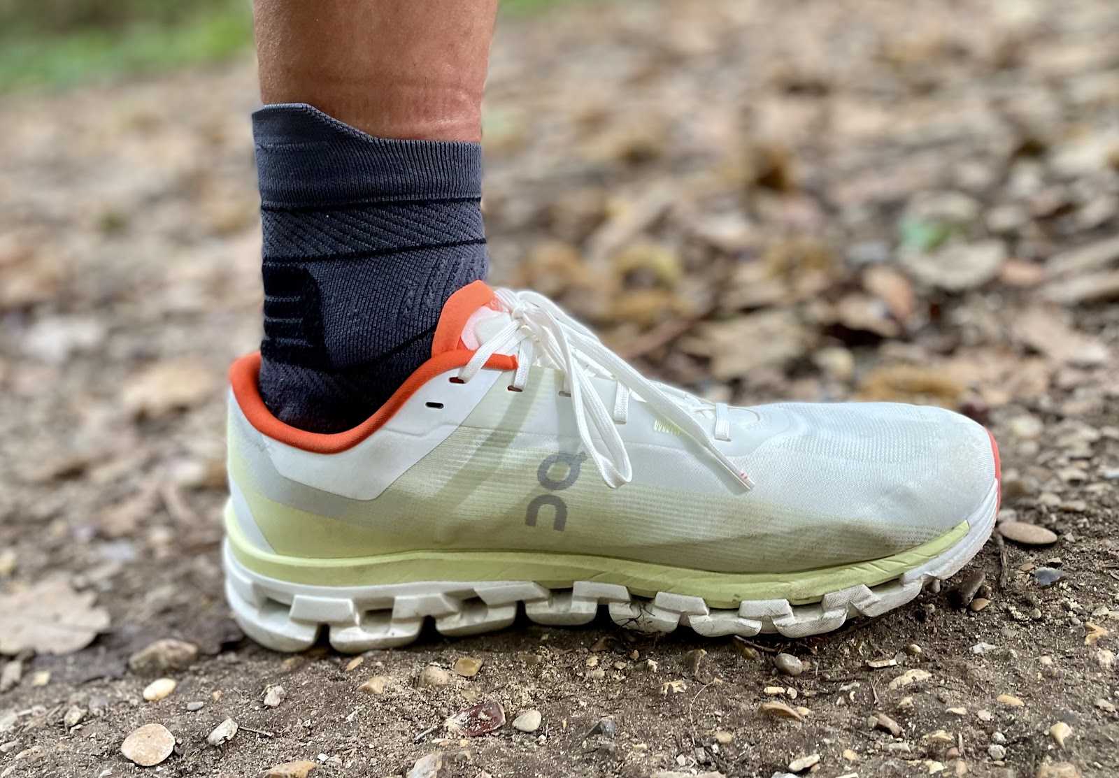 Road Trail Run: ON Cloudflow 4 Review: Simply Enjoyable!